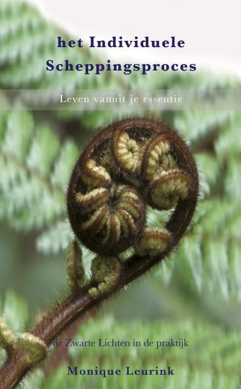 Het individuele scheppingsproces 9789021546698, Boeken, Esoterie en Spiritualiteit, Gelezen, Verzenden