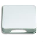 ABB Busch-Jaeger Cover Plate 50x50 CPL KD 1746-24G-101, Verzenden, Nieuw, Overige typen