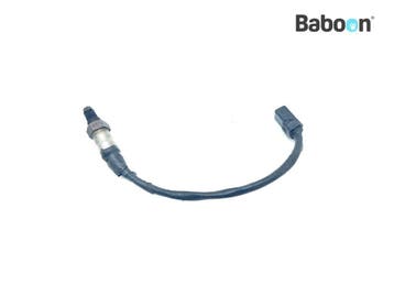 Lambda Sonde Triumph Trident 660 2020->, Verzenden, Gebruikt