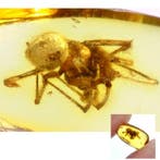 Amber - Barnsteen - Spider - Main spider sice its 5mm - 8 mm