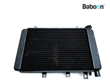 Radiateur Triumph TT 600 2000-2005 (TT600), Verzenden, Gebruikt