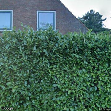 Kamer te huur in Rhenen - 15 m² - 1 kamer(s), Overige regio's