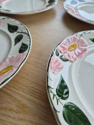 Villeroy & Boch - Bord (6) - Wild-Rose, Wildrose - Porselein