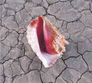 cd digi - The Killers - Wonderful Wonderful, Verzenden, Zo goed als nieuw