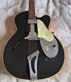 Fasan - - Archtopgitaar, Nieuw