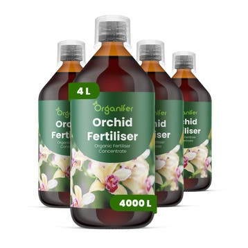 Orchidee vloeibare meststof - Set 4x1 liter, Verzenden, Mest