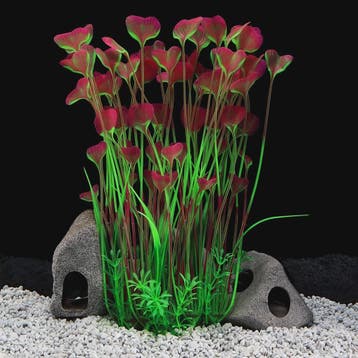 Levenssechte Kunstplant Aquarium Decoratie - Levendige Kleur, Verzenden, Nieuw