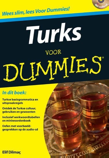 Turks / Voor Dummies - Elif Dilmac 9789043025751, Verzenden, Gelezen, Elif Dilmac