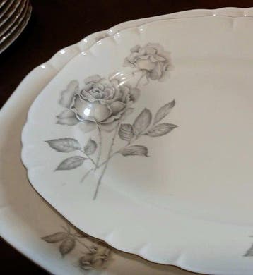 Richard Ginori - Tafelservies voor 12 (48) - Porselein
