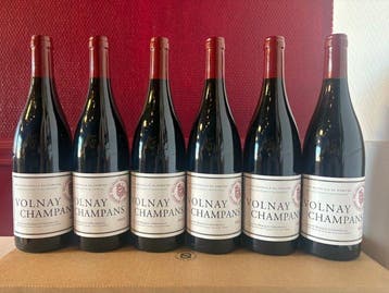 2023 Domaine Marquis dAngerville Champans - Bourgogne,, Nieuw