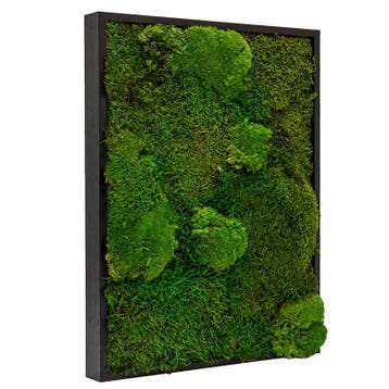 Vintlux Mosschilderij Lappenmos-Bolmos 30x40 cm Zwart - Bor, Nieuw