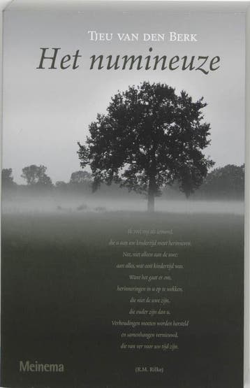 Het numineuze (9789021140407, T. van den Berk), Verzenden, Nieuw