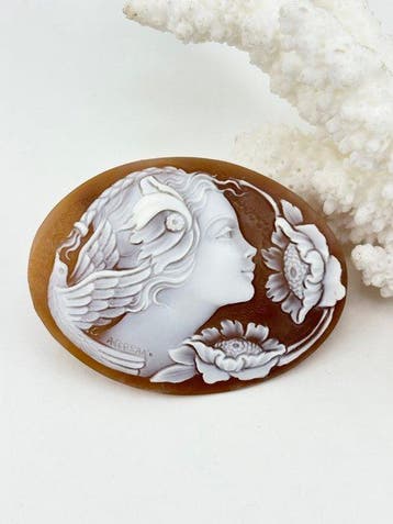 CASSIS MADAGASCARIENSIS - Cameo - Handgesneden camee