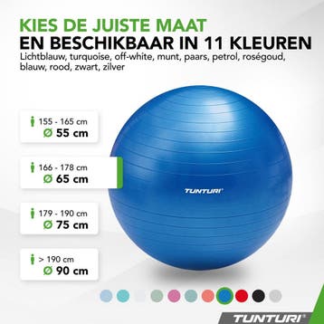 Tunturi Anti Burst Fitness bal met Pomp - Yoga bal 65 cm -, Ophalen of Verzenden, Zo goed als nieuw