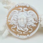 Cassis madagascariensis - Cameo - Handgesneden camee, Antiek en Kunst