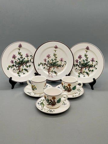 Villeroy & Boch - Koffieservies - Botanica Kaffeeservice