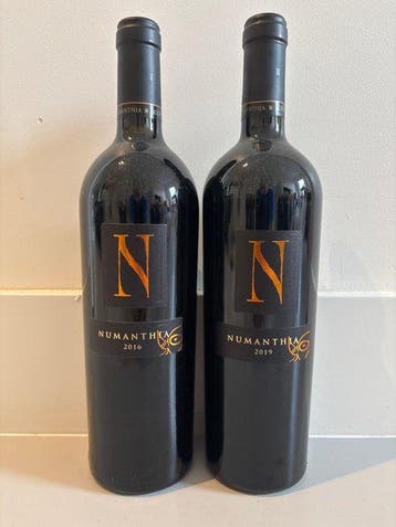 2016 & 2019 Bodega Numanthia - Toro - 2 Flessen (0.75 liter), Nieuw