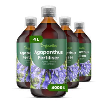 Agapanthus Vloeibare Meststof - 4 x 1 Liter, Verzenden, Mest