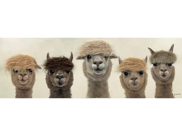 Olieverf schilderij Alpacas van Ter Halle, Huis en Inrichting, Woonaccessoires | Overige, Nieuw, Ophalen of Verzenden