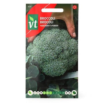 Broccolizaad | VT, Verzenden