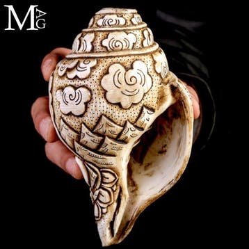 Antieke Hindu Shankha-schelp - Handgesneden snijwerk Oud