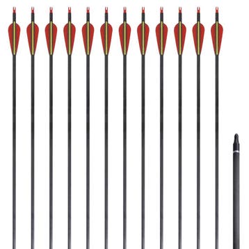 vidaXL Pijlen voor recurveboog standaard 30 0,76 cm, Verzenden, Nieuw