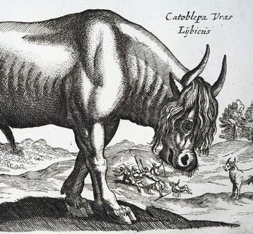 Matthäus Merian (1593-1650) - Hand-col. Folio: European