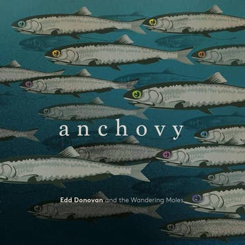 cd - Edd Donovan - Anchovy, Verzenden, Zo goed als nieuw