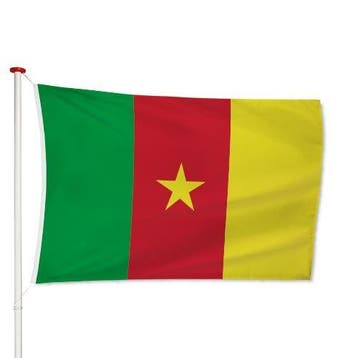 Kameroense Vlag 40x60cm, Verzenden, Nieuw
