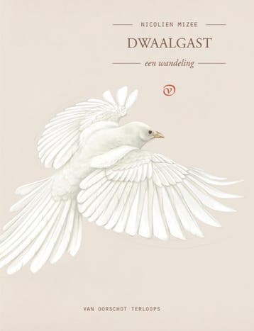 Dwaalgast | Nicolien Mizee | Nieuw, Ophalen of Verzenden, Nieuw, Nicolien Mizee