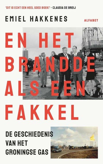 9789021342993 En het brandde als een fakkel | Tweedehands, Verzenden, Zo goed als nieuw, Emiel Hakkenes