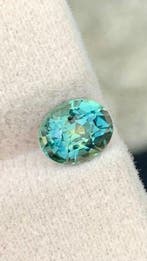 Zonder minimumprijs Groen, Blauw Saffier - 1.44 ct -, Nieuw