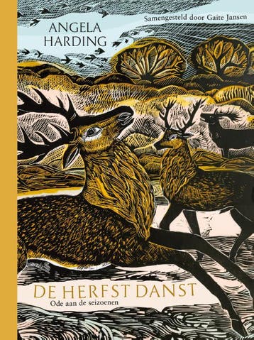 De Herfst Danst | Angela Harding | Nieuw, Boeken, Ophalen of Verzenden, Nieuw, Angela Harding