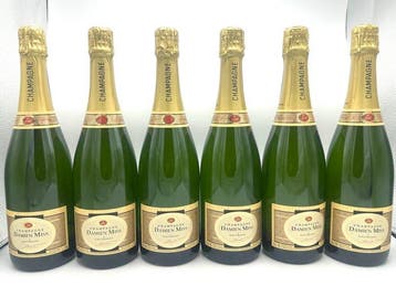 Damien Miss, Leuvrigny, Brut - Champagne - 6 Flessen (0.75, Nieuw