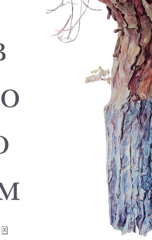 Boom, Boeken, Literatuur, Ophalen of Verzenden