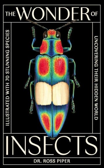 The Wonder Of Insects: Uncovering Their Hidden World | Nieuw, Ophalen of Verzenden, Nieuw, Ross Piper