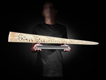 Geen minimumprijs - Prachtig grote zwaardvisrostrum op een