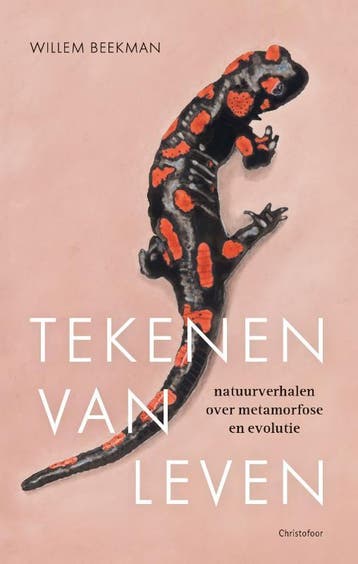 Tekenen Van Leven | Willem Beekman | Nieuw, Ophalen of Verzenden, Nieuw, Willem Beekman
