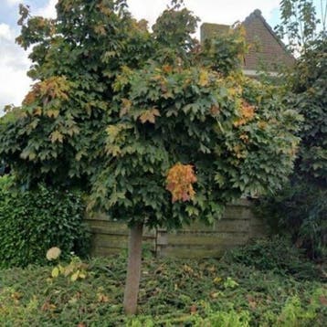 Woning te huur in Zaltbommel - 80 m² - 2 kamer(s) - 2 kamers, Huizen en Kamers, Huizen te huur, Overige soorten, Zaltbommel, Gelderland