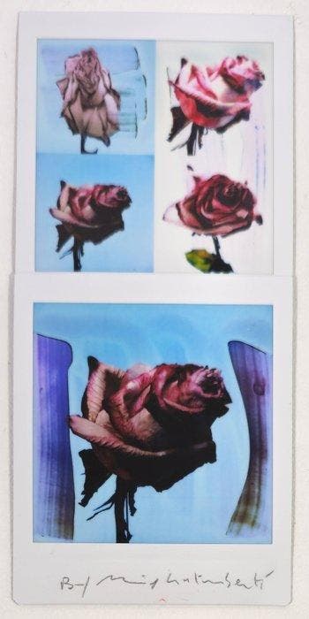Maurizio Galimberti (1956–) - BiFlowers - 11453