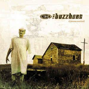 cd - The Buzzhorn - Disconnected, Verzenden, Zo goed als nieuw