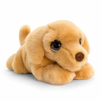 Labrador puppy knuffel - pluche - beige - 25 cm, Verzenden, Nieuw