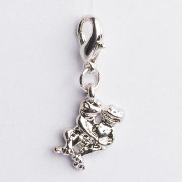 Be Charmed bedel kikker met karabijnsluiting zilver met e..., Ophalen of Verzenden, Nieuw, Bedel