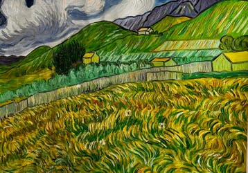 Landschap achter het Sint-Paulus Hospitaal – Van Gogh, Ophalen of Verzenden, Nieuw