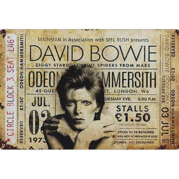 Wandbord - David Bowie – Odeon Hammersmith 1973, Ophalen of Verzenden, Nieuw, Poster, Artwork of Schilderij
