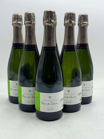 Pierre de Charme Alt 199 Assemblage - Champagne Brut - 6, Nieuw