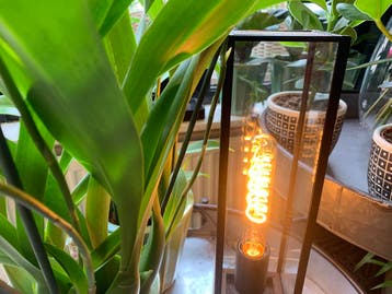 Bailey LED Big Amy E27 3W 135lm 2000K Goud Dimbaar Ø3x18..., Ophalen of Verzenden, Nieuw
