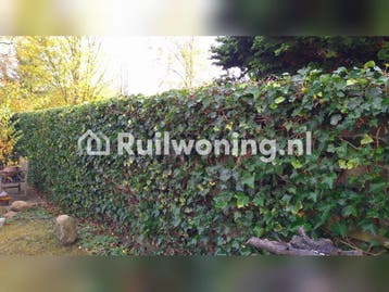 Huis in Appelscha, Ooststellingwerf, 4 kamers (Fryslân)
