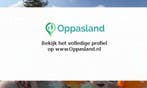 Martine zoekt een oppas in Rotterdam voor 2 kinderen.