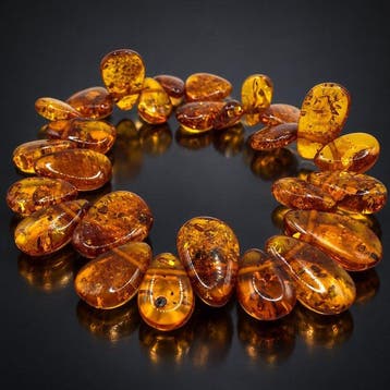 Baltic Amber - Armband - Cognac Teardrop beads
